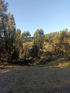Parcela de descanso El Totoral